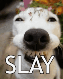 Slay Queen Gif