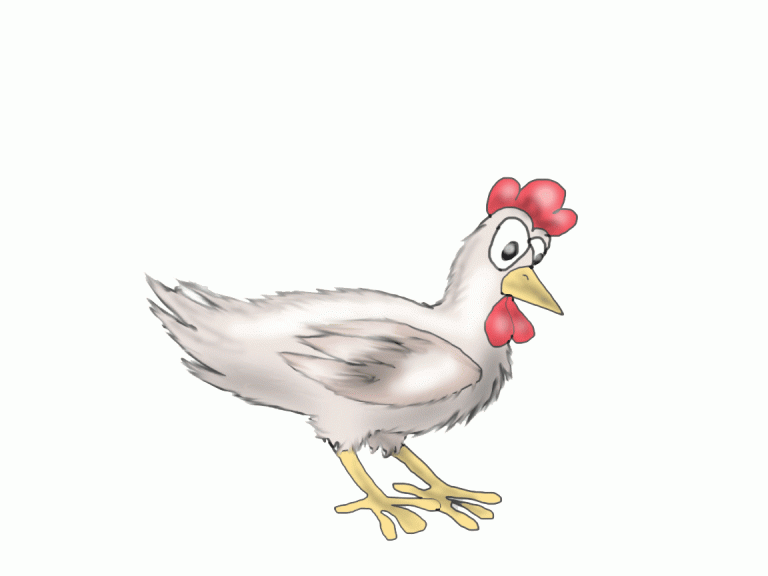 Chicken Gif Chicken Gif