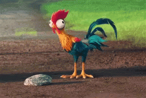 Chicken Gif