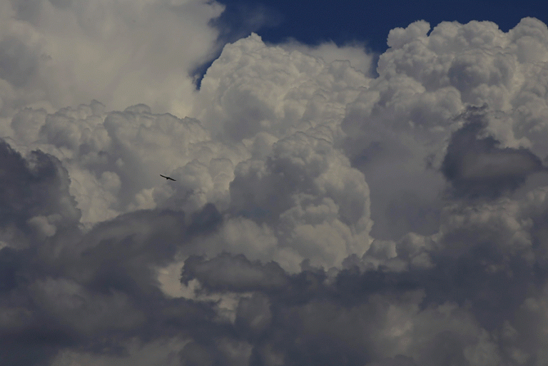 Cloud Animated GIF