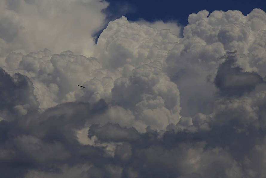 Cloud Gif