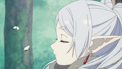 Frieren Gif