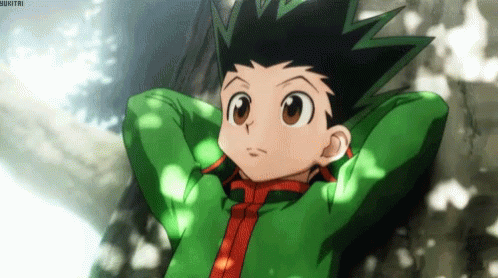 Gon Freecss Gif