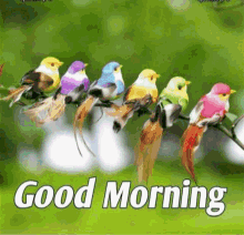 Good Morning Gif