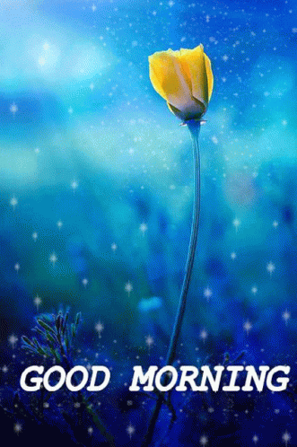 Good Morning Gif