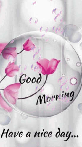 Good Morning Gif