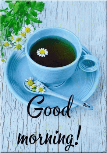 Good Morning Gif