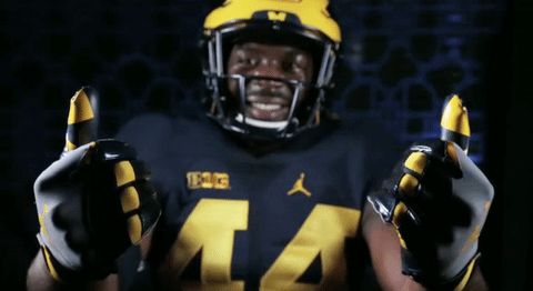 J.J. McCarthy Gif