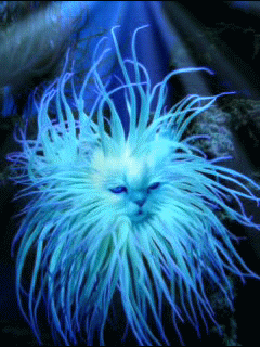 Jellycat Gif