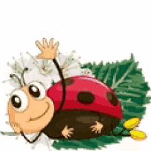 Ladybug Gif