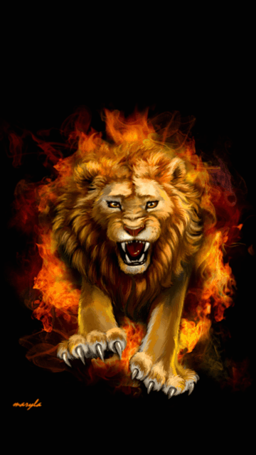 Lion Gif
