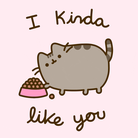 Pusheen Gif