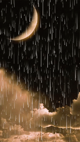 Rain Gif
