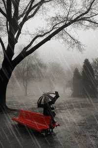 Rain Gif