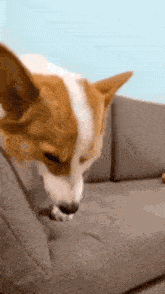 Smirk Gif