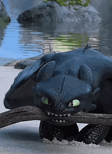 Toothless Gif