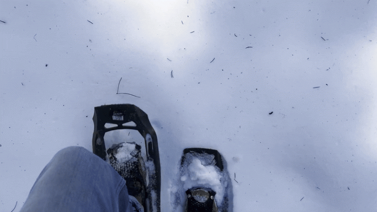 Winter Animated GIF