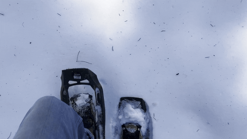 Winter Gif