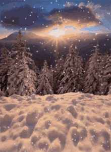 Winter Gif