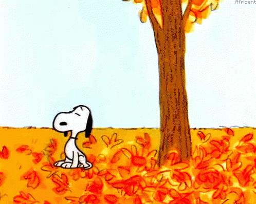 Autumn Gif