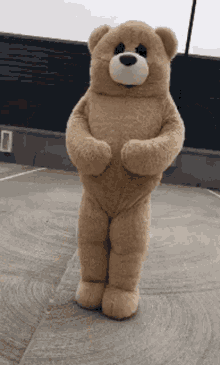 Bear Gif