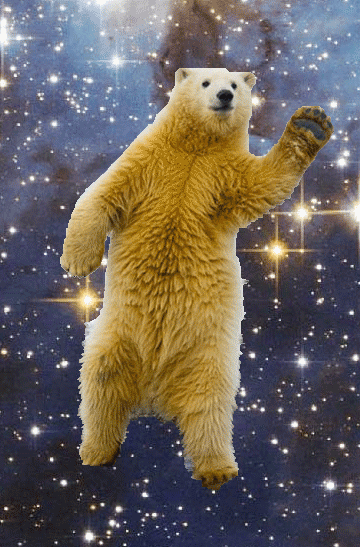 Bear Gif