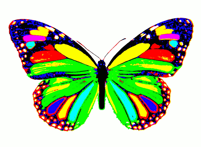 Butterfly Gif
