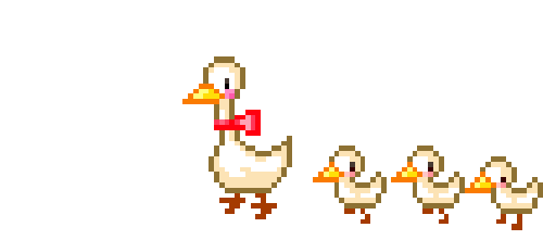 Duck Gif