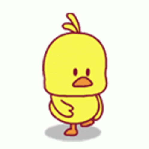 Duck Gif