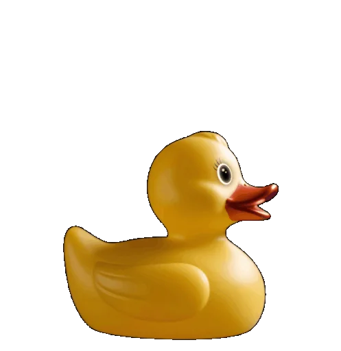 Duck Gif