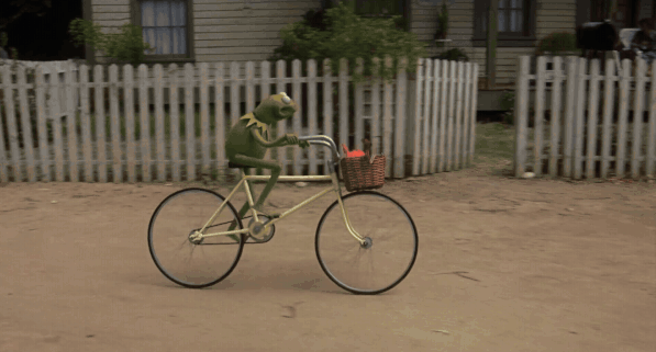Kermit Gif