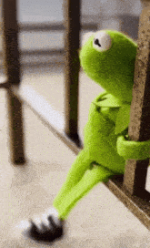 Kermit The Frog Gif