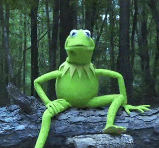 Kermit The Frog Gif
