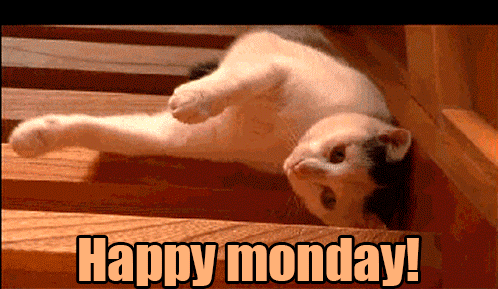 Monday Gif