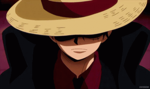 One Piece Gif