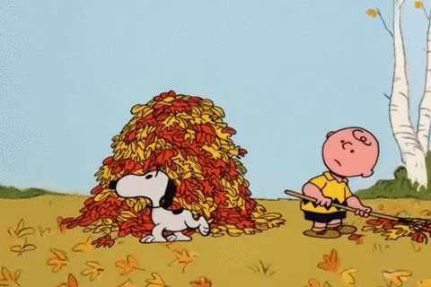 Peanuts Gif