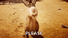 Please Gif