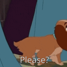 Please Gif