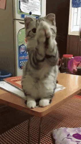 Please Gif