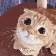 Please Gif