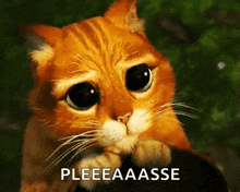 Please Gif
