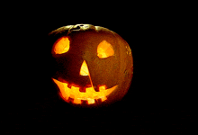 Pumpkin Gif