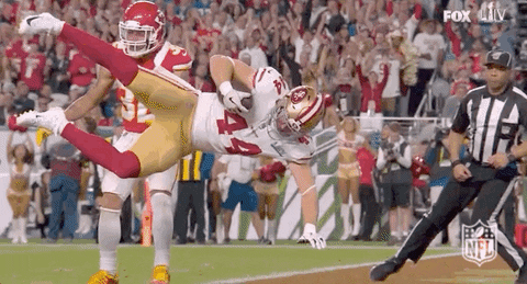 San Francisco 49ers Gif