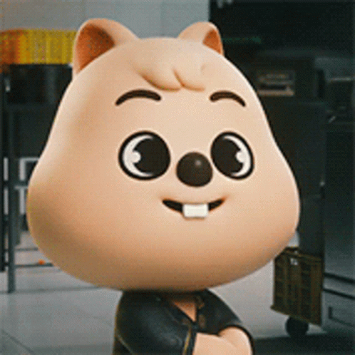 Skzoo Gif