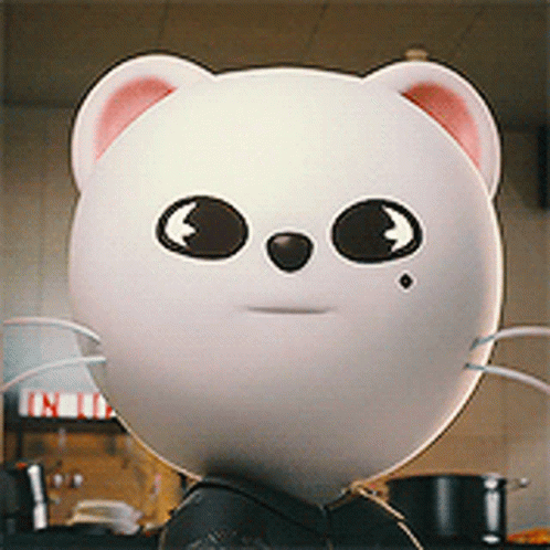 Skzoo Gif