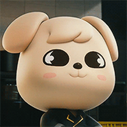 Skzoo Gif