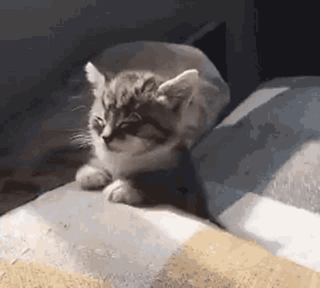 Sleeppy Gif