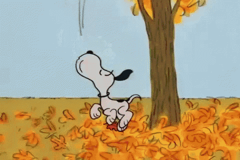Snoopy Gif