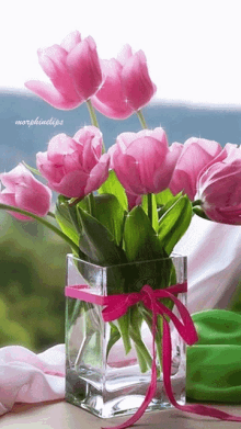 Tulip Gif