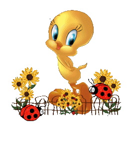 Tweety Gif